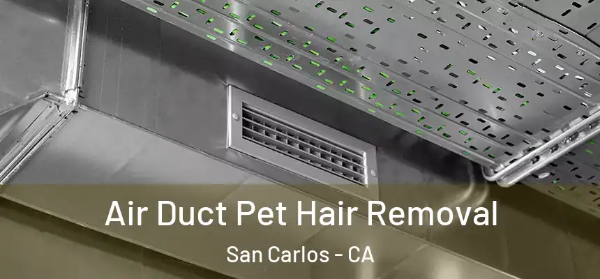  Air Duct Pet Hair Removal San Carlos - CA