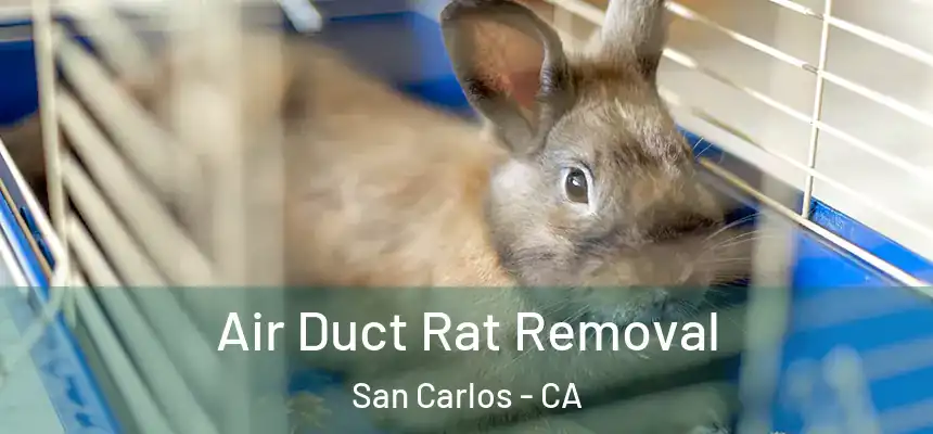  Air Duct Rat Removal San Carlos - CA