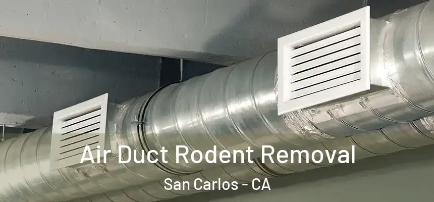  Air Duct Rodent Removal San Carlos - CA