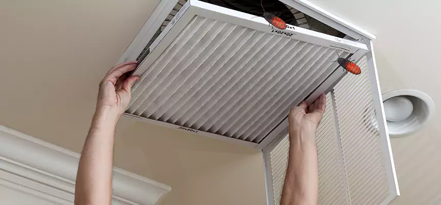 Our Insect Removal from Air Ducts Services in San Carlos, CA