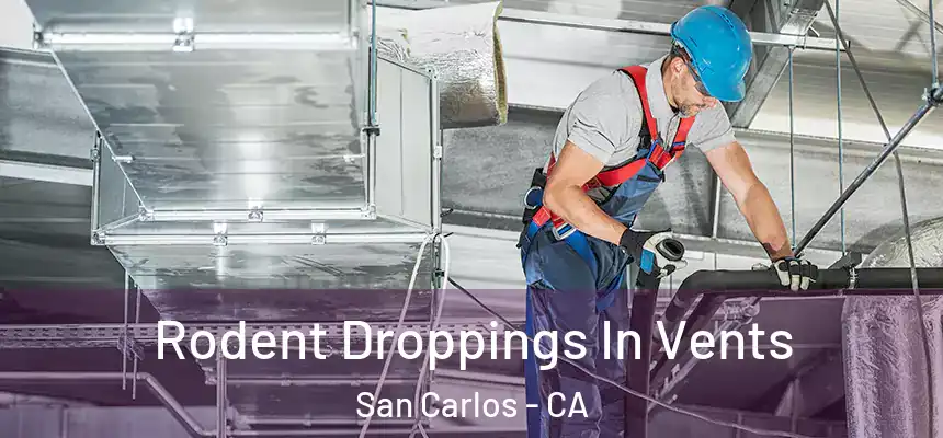  Rodent Droppings In Vents San Carlos - CA