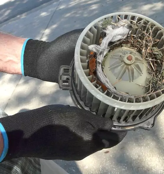 About Air Duct Rat Removal in San Carlos, CA