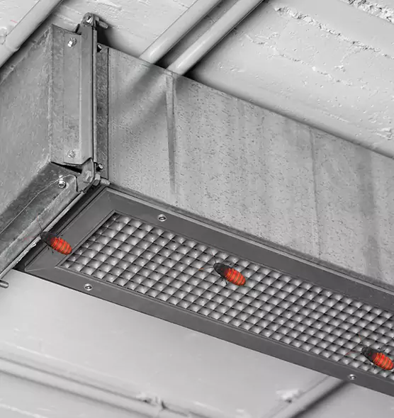 Affordable Insect Removal from Air Ducts in San Carlos, CA