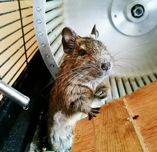 Why Homeowners & Businesses Trust Us San Carlos, CA