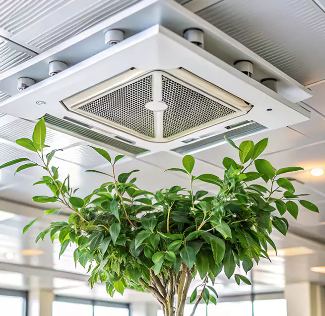 Why Homeowners & Businesses Trust Us in San Carlos, CA