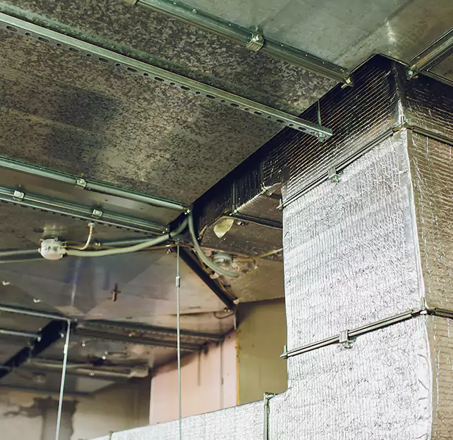 Why Homeowners & Businesses Trust Us in San Carlos, CA?